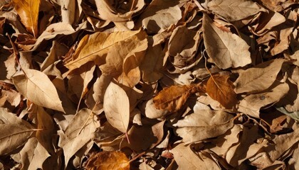 Fototapeta premium Autumns palette A symphony of fallen leaves