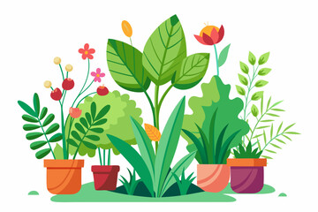 A Colorful Arrangement of Potted Plants with Flowers