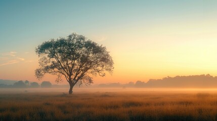 Obraz premium Free good morning scene wallpaper background photo