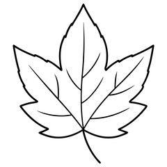 black and white leaf silhouette  vector illustration