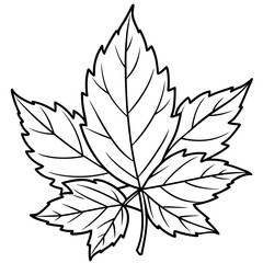 Fototapeta premium black and white leaf silhouette vector illustration