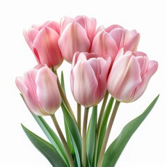 Beautiful pink tulips arranged elegantly, perfect for spring themes and floral designs. A touch of nature's charm for any setting.