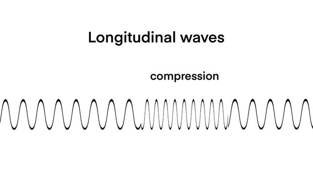 Amplitude, Period, Frequency, and Variable Wavelengths, Transverse wave with properties of structure, rarefaction, compression, Waves in Physics, longitudinal and transverse motions
