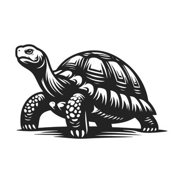 recommend clip art: Tortoise logo silhouette vector illustration