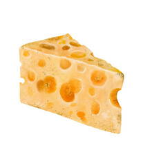 A Delicious Slice of Cheese that Features Holes for Texture and Flavor Enjoyment