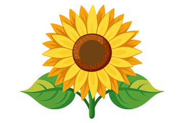 Fototapeta premium A Single Sunflower with Two Green Leaves
