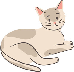 Hand-Drawn Cute Cat Illustration