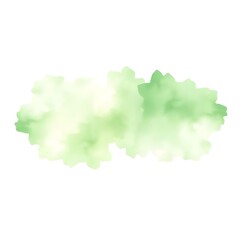 Obraz premium Green abstract watercolor splash on white background