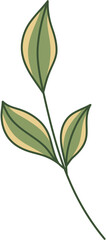 Hand-Drawn Leaf Illustration
