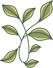 Hand-Drawn Leaf Illustration