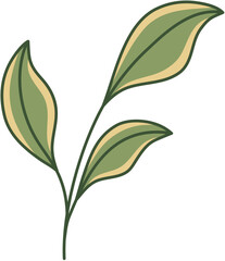 Hand-Drawn Leaf Illustration