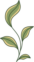 Hand-Drawn Leaf Illustration