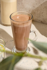 Hot Cocoa in Glass Mug on Marble Surface with Sunlight and Plant Shadows