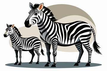 Obraz premium Two Zebras Standing Side by Side