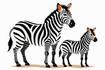 Obraz premium A mother zebra and her foal standing on the ground