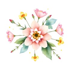 Fototapeta premium Soft watercolor flower pink and yellow dahlia flower with, delicate petals against a white background