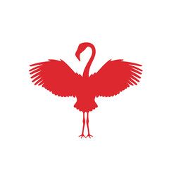 flamingos, a type of long-legged bird that lives in groups.