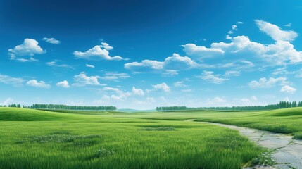 Obraz premium front view Roadside view and green grass on blue sky