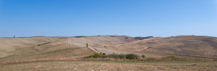 Val D'Orcia, Tuscany, Italy. Amazing landscape of the agricultural fields with gold and yellow colors. Earth's line. A perspective of the ground's colors and shapes