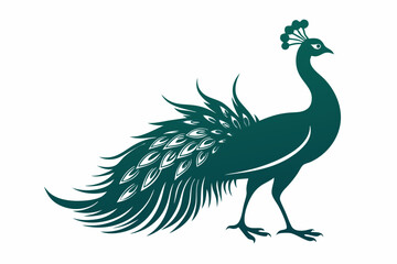Fototapeta premium Peacock vector illustration