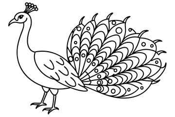 Peacock line art 