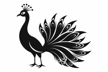 Fototapeta premium Peacock silhouette vector illustration