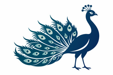Peacock vector illustration