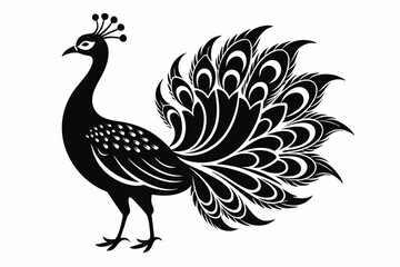 Peacock  silhouette vector illustration