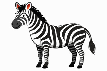 A black and white zebra with a striped coat standing on a white background