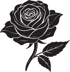 silhouette-of-rose-flower