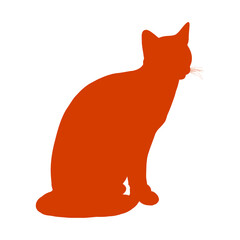 Cat, Halloween Art, Transparent background.