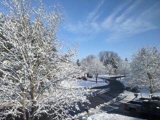 Day after storm 