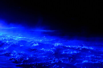 ライトアップされた海