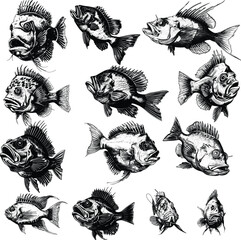 Anglerfish Set Illustration in Intricate Ink Sketch, Capturing the Mysterious Deep-Sea Creature with Hand-Drawn Vintage Detail