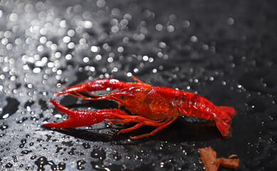 Big lobster spicy dish with Chinese spices, indoor photography close up
