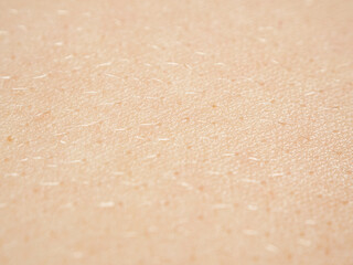 Close-up of skin showing texture and structure, highlighting details important to the study of dermatology