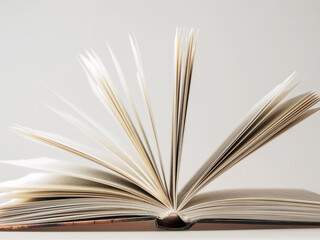 Close-up of open book pages filled with text. An ideal image for themes of literature, reading and knowledge