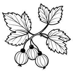 Gooseberry plants with leaves line art