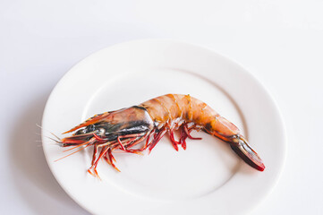 天然有頭海老　イリアンタイガー