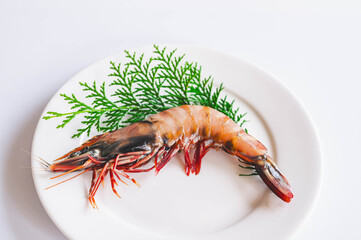 天然有頭海老　イリアンタイガー