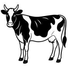 black and white cow vector illustration 
