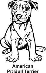 Puppy American Pit Bull Terrier - Dog Breed, Puppy Breed Vector File, detailed vector