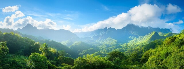 Fototapeta premium A lush, green forest teems with numerous trees beneath a clear blue sky Scattered clouds dot the expanse above towering mountains