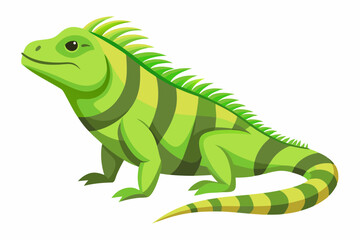 Iguana side view  vector illustration 