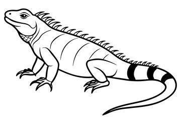 Iguana side view line art