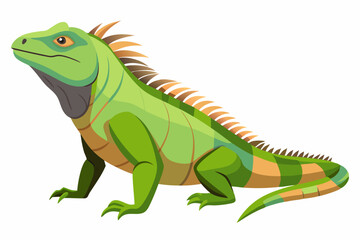 Iguana side view  vector illustration 