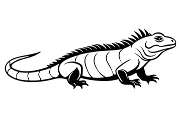 Iguana side view line art