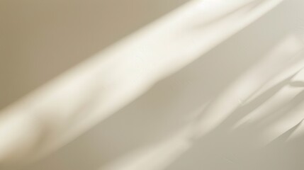 A soft, natural light illuminates a white wall, creating abstract shadows from unseen objects, possibly branches or leaves, outside a window. The light casts a warm, inviting glow on the surface, high