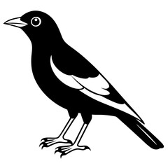 bird silhouette  vector illustration