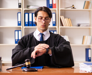 Young handsome judge working in court